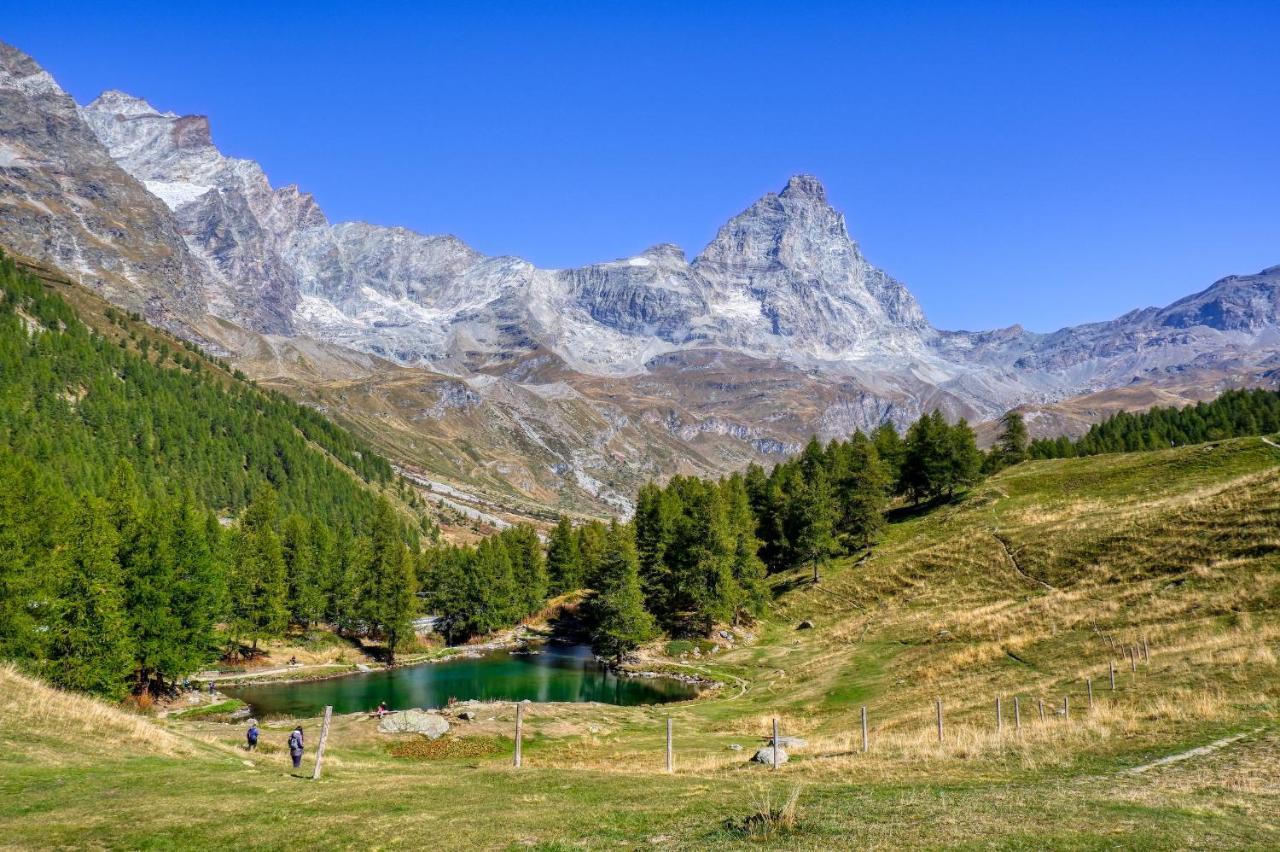 La Lupa Apartment - In The Heart Of Aosta With Car Box 外观 照片